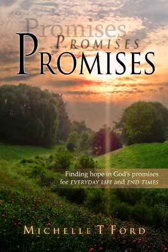Picture of Promises, Promises, Promises
