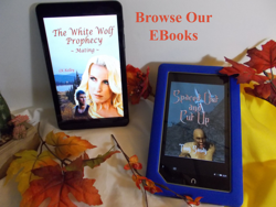 Picture for category EBooks for Kindle Readers