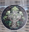 Picture of Celtic Cross | Sun Catcher