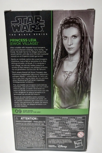 Picture of Princess Leia (Ewok Village) | Star Wars The Black Series 6 Inch Action Figure Box Art (2022 Wave 2)