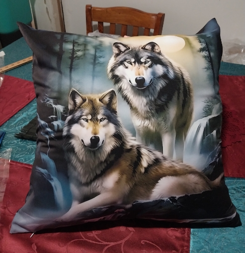 Picture of two wolves in forest with streams and Moon