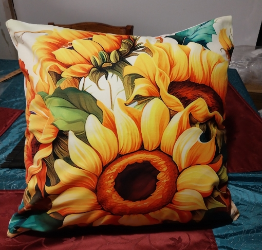 Picture of Sunflower with white background