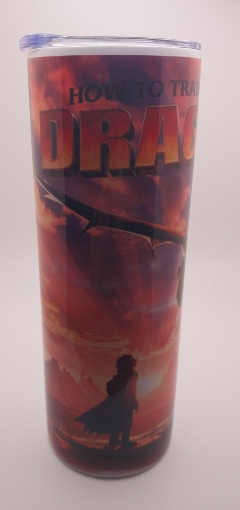 Picture of How to Train Your Dragon Movie (tumbler)