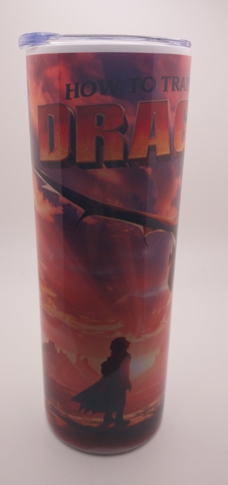 Picture of How to Train Your Dragon Movie (tumbler)